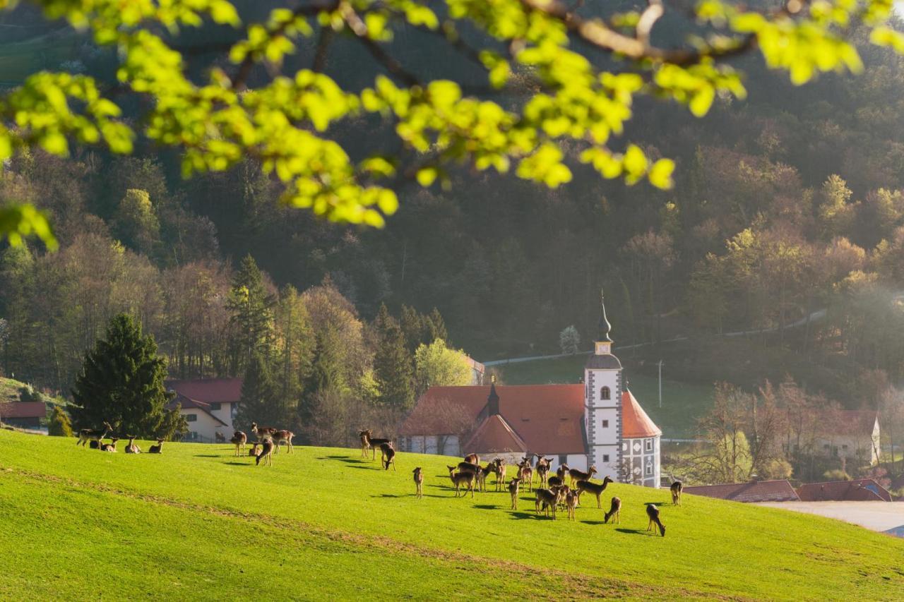 Guesthouse Jelenov greben Podčetrtek Buitenkant foto