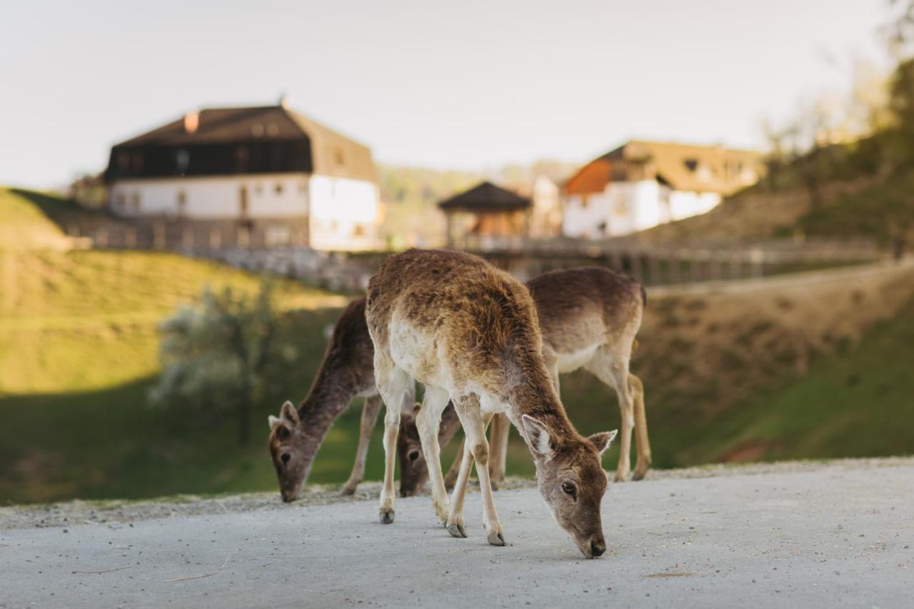 Guesthouse Jelenov greben Podčetrtek Buitenkant foto