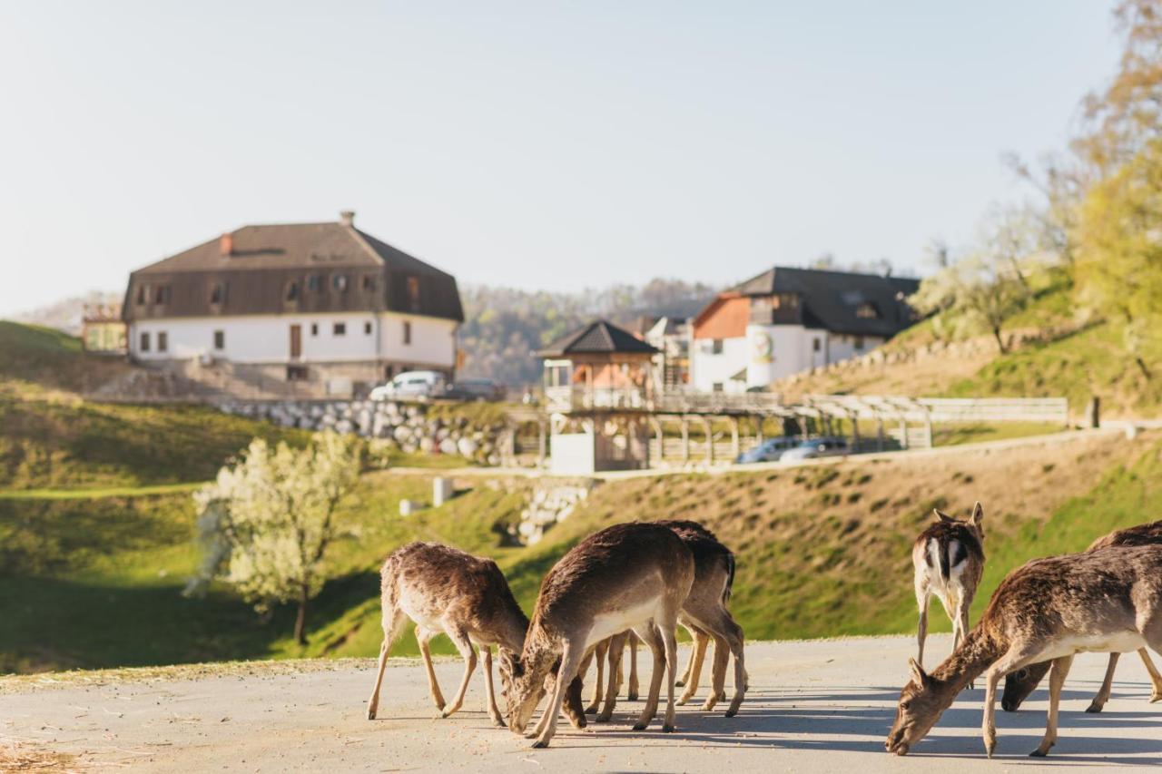 Guesthouse Jelenov greben Podčetrtek Buitenkant foto